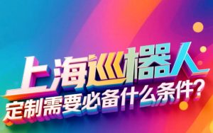 上海巡检机器人定制需要必备什么条件？